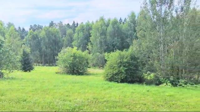 зу д. Мостки 570 смотреть онлайн