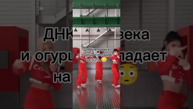 Об этом тебе не расскажут в школе!🤫💋