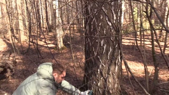 Максим Королев | Эксперт по Доходным гаражам