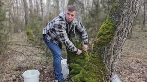 Мужики наводят порядки. / Лучший березовый квас