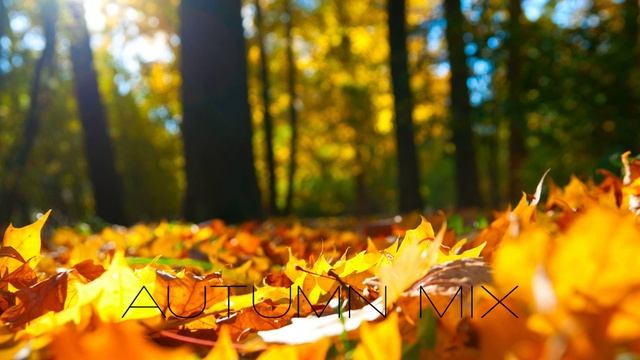 DJ AGNI - AUTUMN MIX (2024)