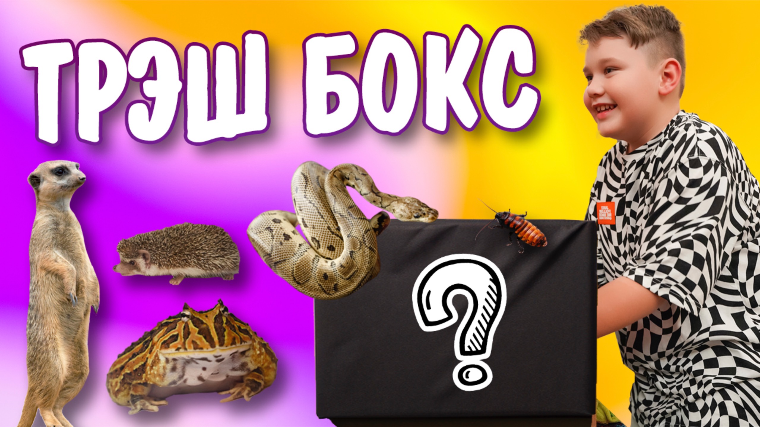 ТРЭШ БОКС Мише 8 смотреть онлайн