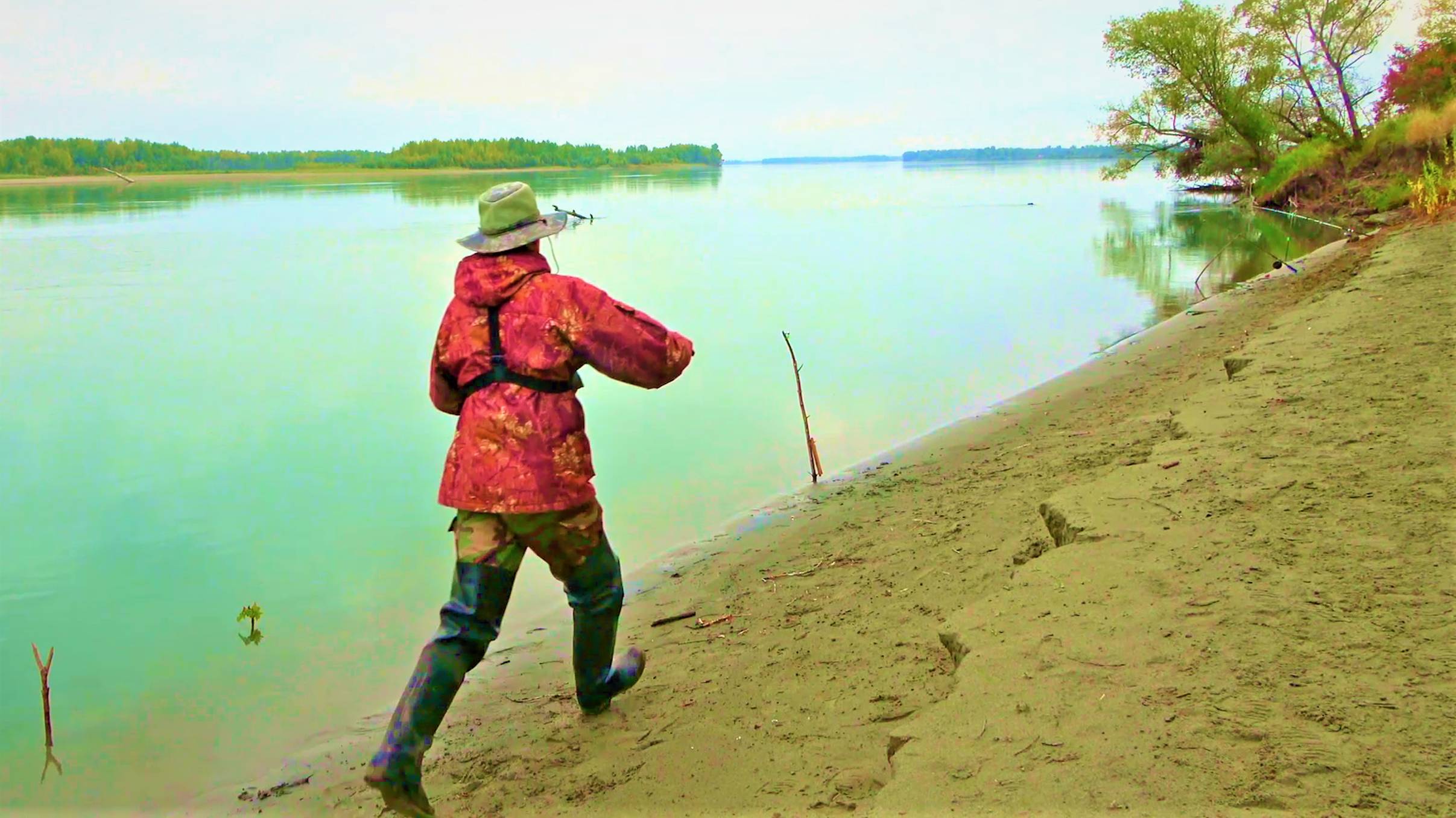 ВЫШЕЛ УТРОМ К СВОИМ ЖИВЦОВЫМ ДОНКАМ И "СОБАКАМ", А КОЛЫШКИ ГНЁТ!!!