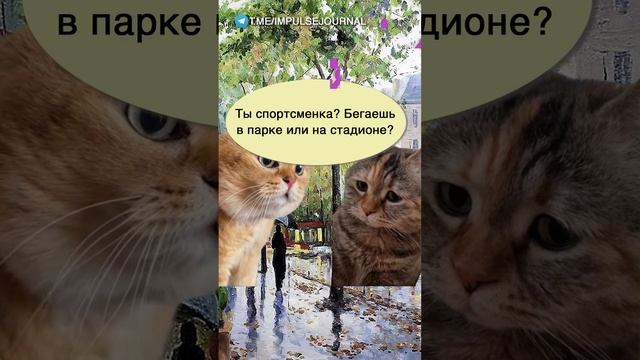 Утренний спорт #мыкотики #вмем #разговор #анекдот #шутки #кот #юмор #смешное #прикольно #мемы #cat смотреть онлайн