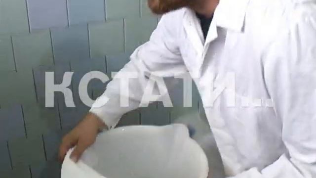 Предприниматель из Германии переехал в глухую российскую деревню чтобы стать сыроваром смотреть онлайн