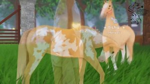 ★ Администратор клуба-моя …?! ★ RRP Vlog  ★ wild horse islands roblox  ★