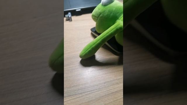 Лягушонок смотрит мой канал #shorts смотреть онлайн