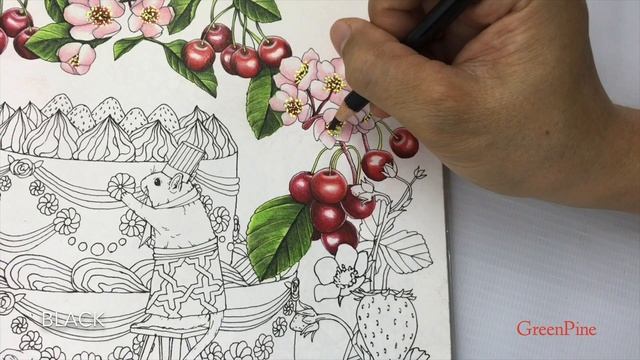 SUMMER FRUIT CAKE Coloring | Part 1 | Rhapsody In The Forest Coloring Book смотреть онлайн