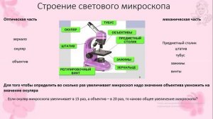 Строение микроскопа 5 класс