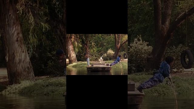 #психологонлайн #пмс #эмоциональноездоровье #юмористическийконтент