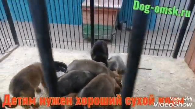 Новости из нашего детского сада