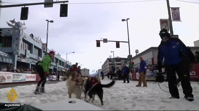 🐕 Dog-sled racers hope to outpace last year's doping scandal | Al Jazeera English смотреть онлайн
