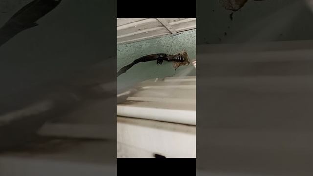 Обслуживание кондиционеров. Милютинский 3. 16.09.24