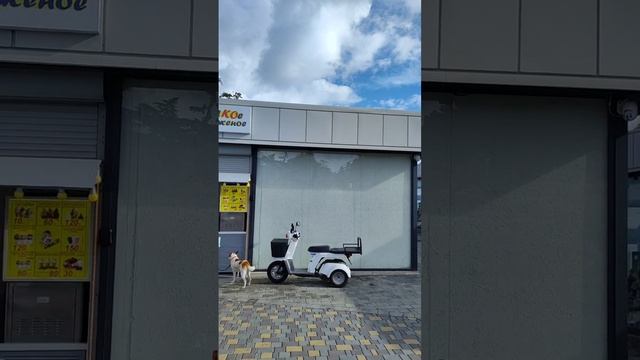 Алушта 1 октября 2024 смотреть онлайн