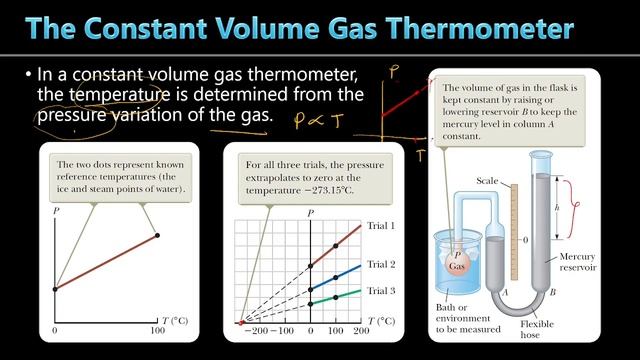 Temperature Scales смотреть онлайн