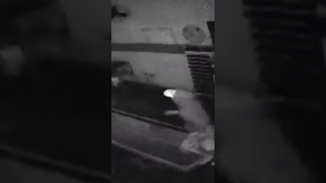 Смешные моменты🤭Эпик Фейлы😁Прикол😆Ржака😂Угар🤣#60 смотреть онлайн