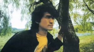 Кино - Дерево.