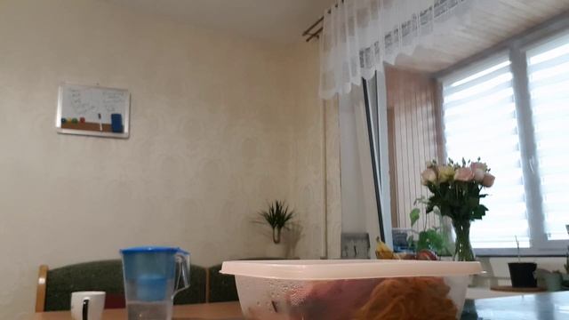MY LAST DAY AT WORK! смотреть онлайн