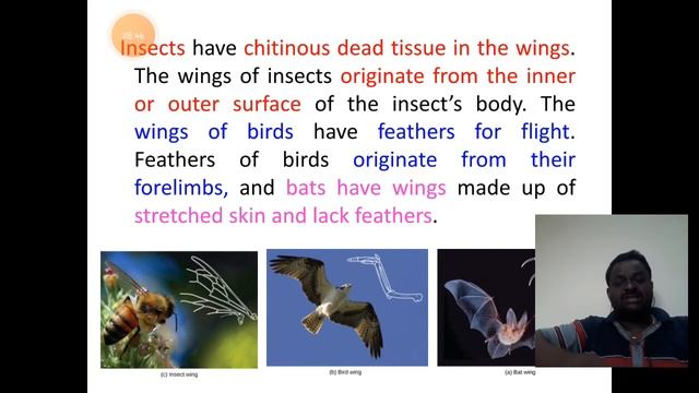 Anatomical Evidences: Analogous Organs; Wings of Insects and Birds смотреть онлайн