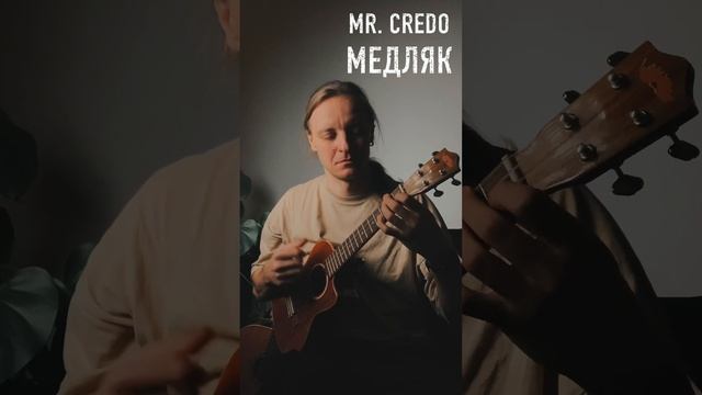 Mr. Credo - медляк #урокиукулеле смотреть онлайн