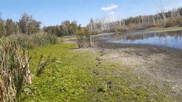 ПОДГОТОВКА К ОХОТЕ 2020 смотреть онлайн