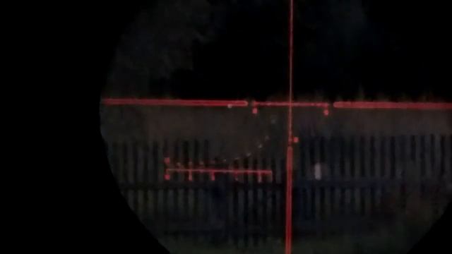 Подсветка сетки прицела в сумерках смотреть онлайн