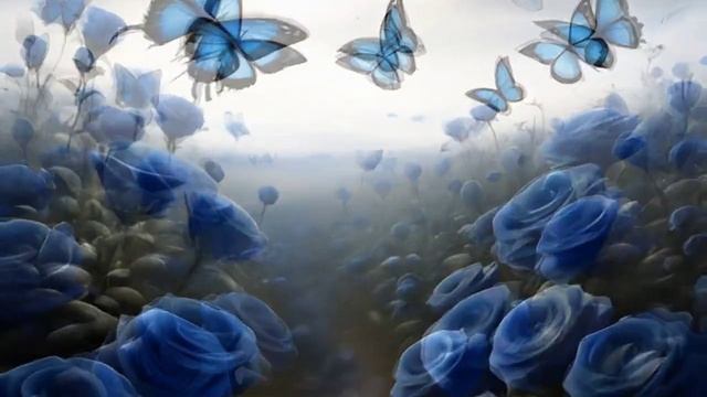 Поле роз_Музыкальные истории смотреть онлайн