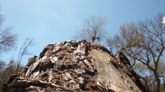 ONE YEAR LATER: Kernville Businesses Overcome Massive Flooding Damage to Build Back Better смотреть онлайн