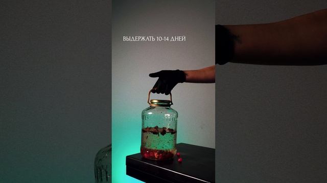 Как приготовить настойку Вишнм на самогоне или водке  #shorts