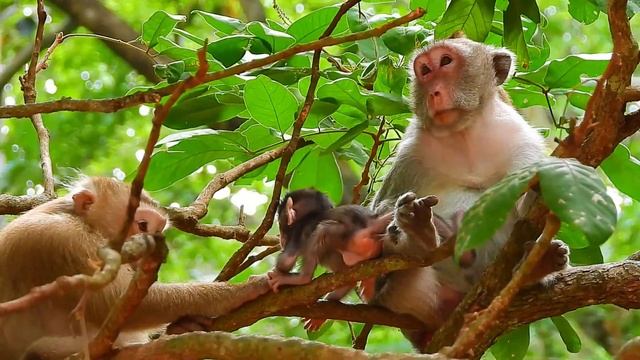 Jane terrified run very fast keep her baby Jazzy so strong afraid | смотреть онлайн