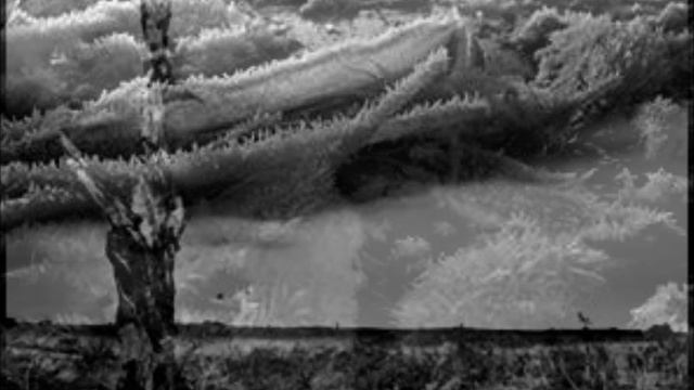 Christian Vander - Les Cygnes Et Les Corbeaux (Extrait 4 - Chant Posthume) смотреть онлайн