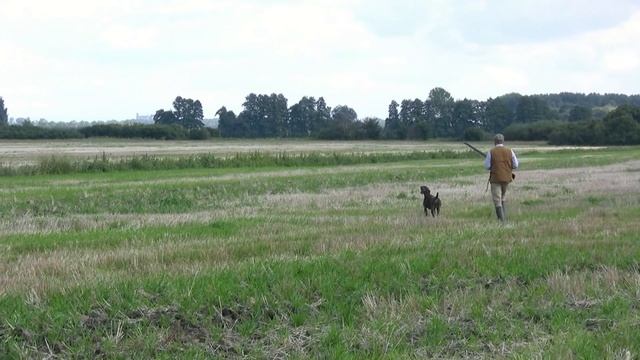 Sv. Hubert Dubany 2010 смотреть онлайн