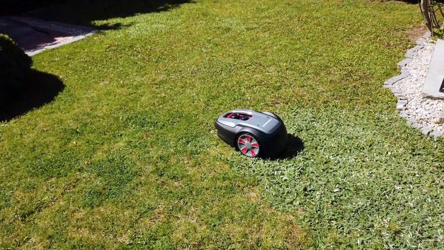 Megfizethető Robotfűnyíró! Powerworks P3 - Kicsomagolás, Telepítés, Zajszint #TesztVlog смотреть онлайн