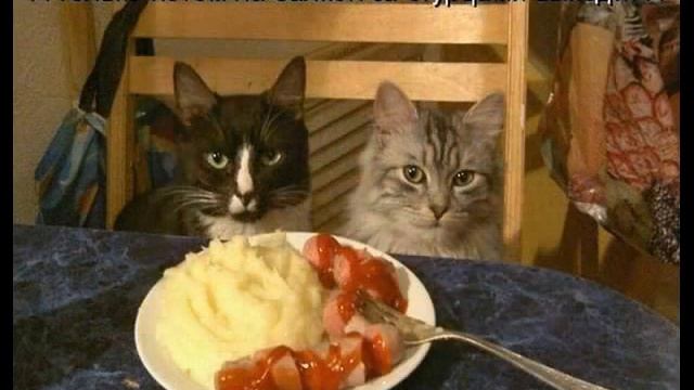 Муз. Видеоукотайка № 75 ! Автор BARGUZIN смотреть онлайн