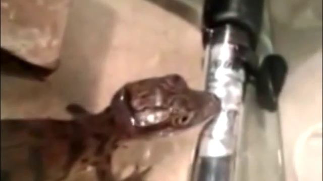 Школа №7, 4 класс смотреть онлайн