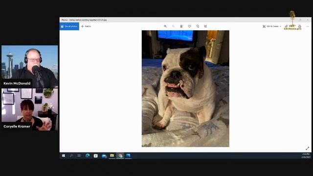 Amazing Animal Stories with Coryelle Kramer смотреть онлайн