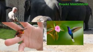 Самые интересные факты обо всем на свете .The most interesting facts about everything in the world