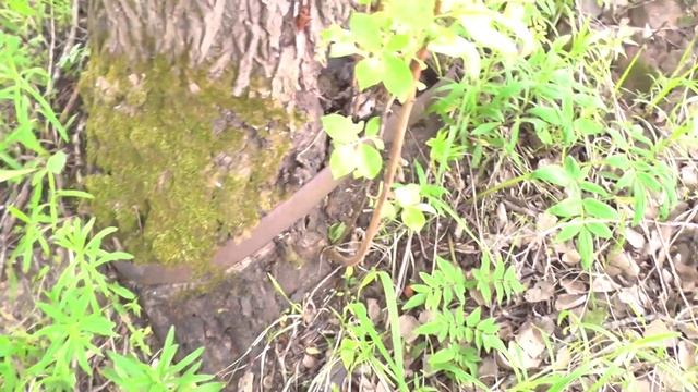 Сталкер 6. Вербито и Березняг смотреть онлайн