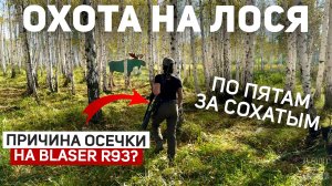 Почему произошла ОСЕЧКА НА Blaser R93? | Охота на Лося 🫎| Напала на след сохатого