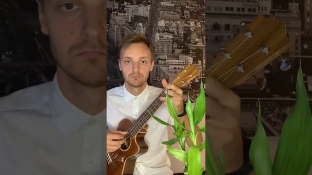 укулеле. классический баян. ТАБЫ БЕСПЛАТНО! смотреть онлайн