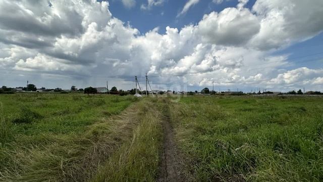 11286899 смотреть онлайн