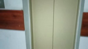 Лифт в ТЦ Поляна г. Химки