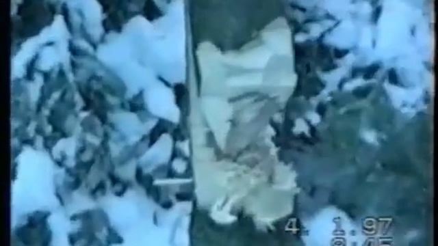 Рубят лес мужики 2005 смотреть онлайн