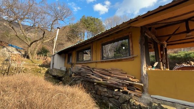 초봄의 야생화가 반가운 시골집🌱 | 봄꽃 풍경, 표고목 세우기, 벽걸이 코뚜레 만들기 смотреть онлайн