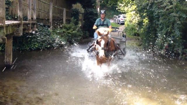 Fun in the River at HDP смотреть онлайн