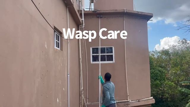 TRAVEL TO JAMAICA TO SAVE OUR HOUSE FROM COLLAPSING MAJOR HOUSE RENOVATION смотреть онлайн