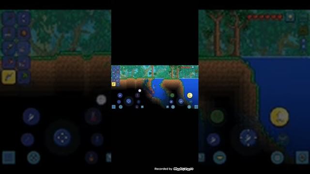 Решил опять поиграть в Terraria с читом на бессмертие