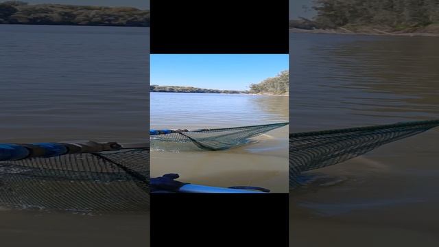 Здесь клюёт дуплетом Лещ, Сазан!!! смотреть онлайн