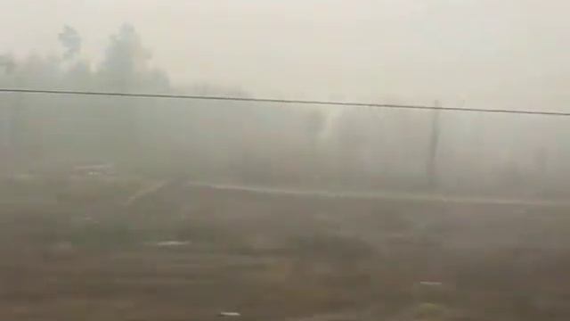 Очаг лесо-торфяного пожара из окна поезда 102