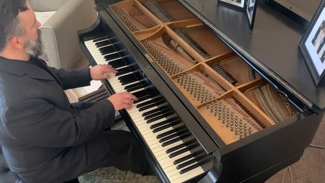 Heliotriope Bouquet, by Louis Chauvin and Scott Joplin. Alexander Sandor, piano смотреть онлайн